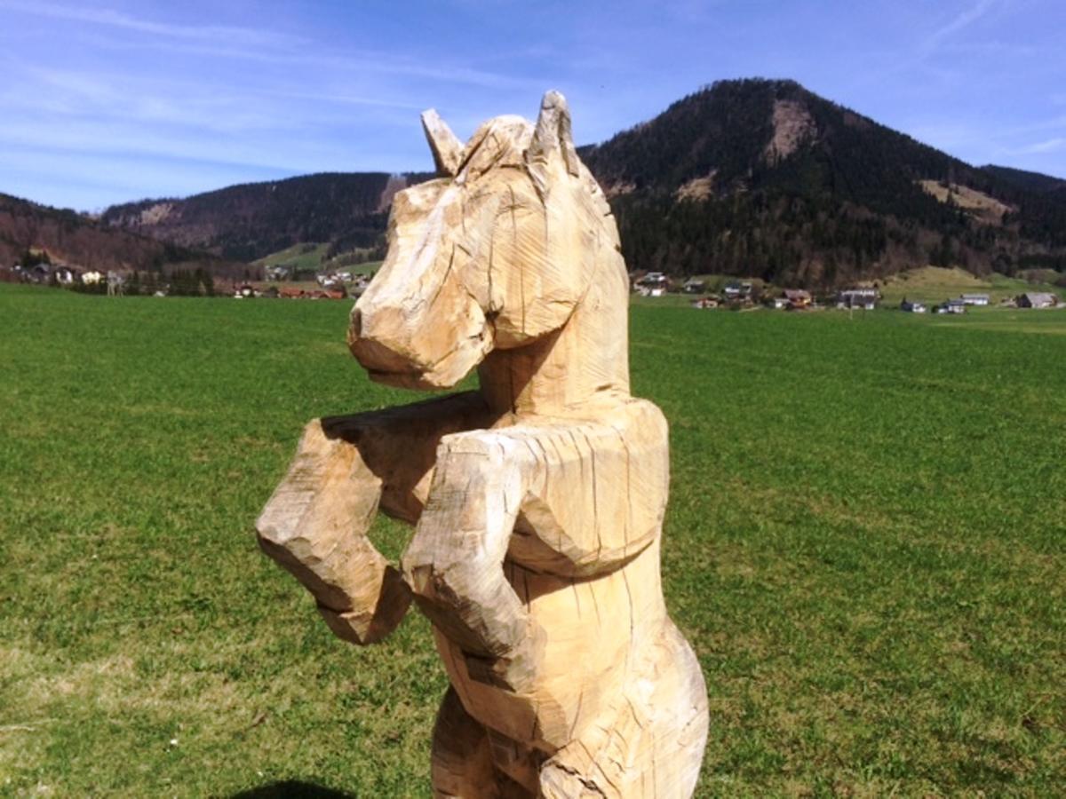 "Hochegg" Hotel Faistenau Kültér fotó